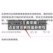 《王者荣耀》语音禁言解除全新教程