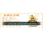 《洛克王国》金翅女王蜂技能搭配推荐