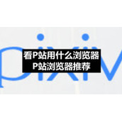 看P站用什么浏览器-P站浏览器推荐