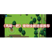 《再刷一把》宠物技能选择推荐