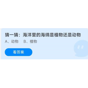 蚂蚁庄园2022年8月11日今日答案-蚂蚁庄园8.11猜一猜：海洋里的海绵是植物还是动物