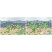 旅行青蛙普通明信片获得方法大全