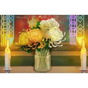 阴阳锅游戏多少钱介绍