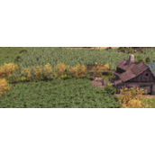 最远的边陲动物数量不够怎么办-提升动物数量方法