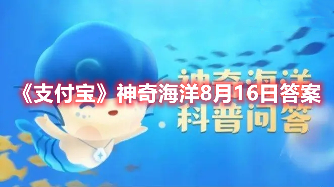 《支付宝》神奇海洋8月16日答案