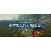 森林控制台怎么打开