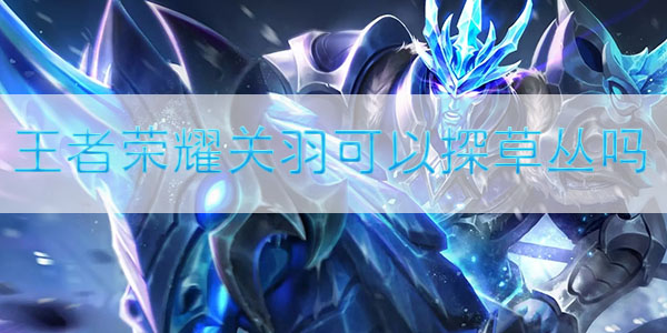 王者荣耀关羽可以探草丛吗-王者荣耀关羽探草丛技巧