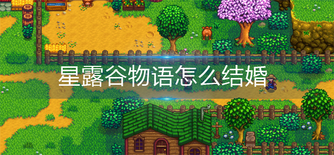 星露谷物语怎么结婚