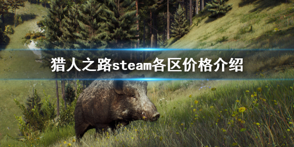 《猎人之路》steam各区价格介绍 steam哪个区便宜