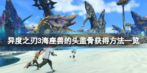 《异度之刃3》海座兽的头盖骨怎么获得？海座兽的头盖骨获得方法一览