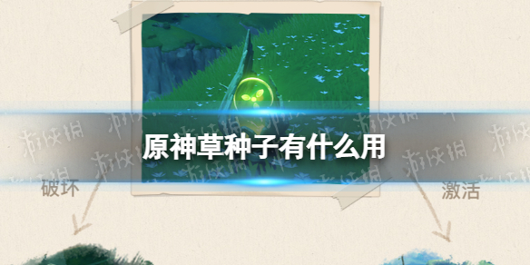 《原神》草种子有什么用-3.0草种子用法介绍