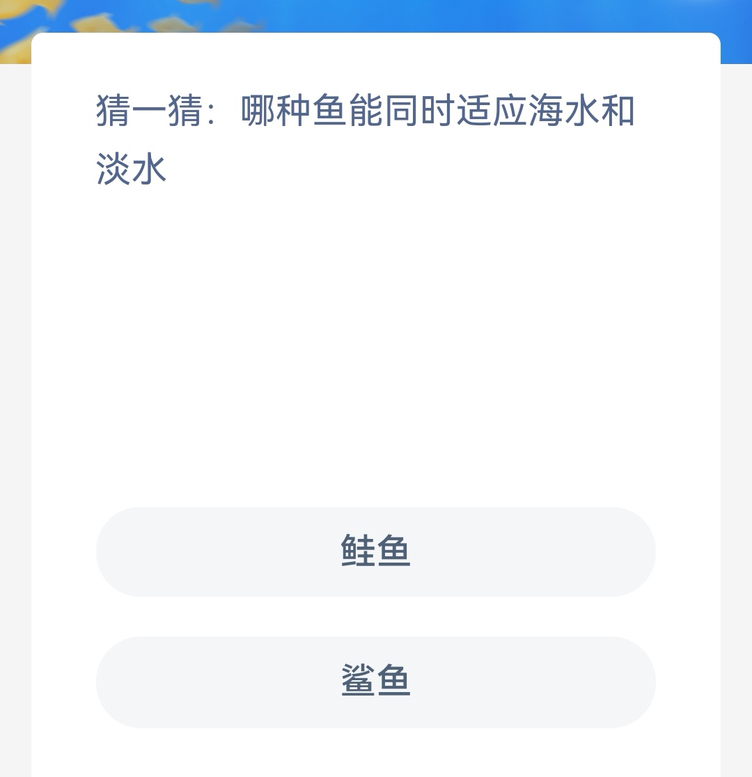 《神奇海洋》8.11猜一猜哪种鱼能同时适应海水和淡水