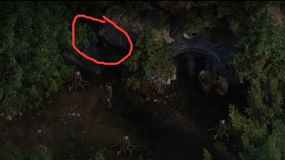 创世秩序金伯利在哪