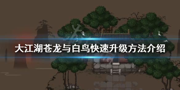 《大江湖苍龙与白鸟》如何快速升级？快速升级方法介绍