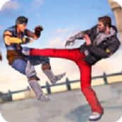 功夫格斗大师正式版