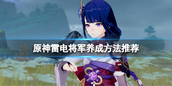 《原神》雷电将军怎么练？