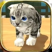 模拟猫咪完整版