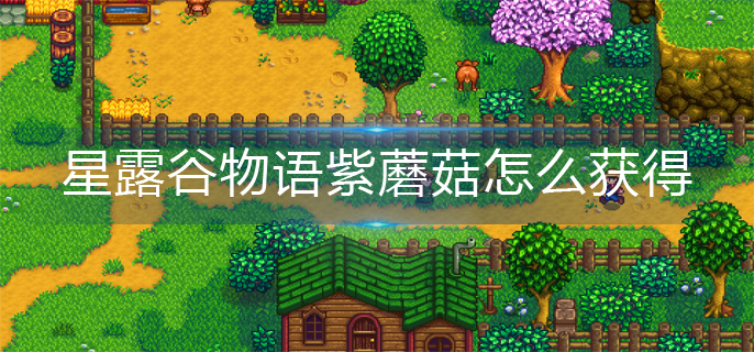 星露谷物语紫蘑菇怎么获得