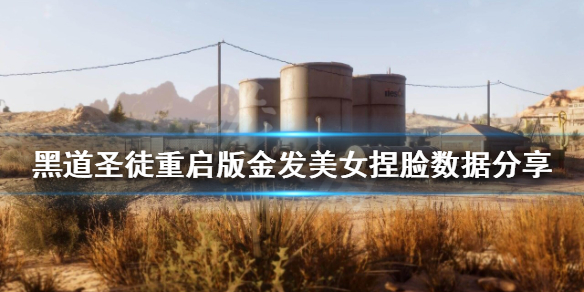 《黑道圣徒重启版》金发美女怎么捏？金发美女捏脸数据分享