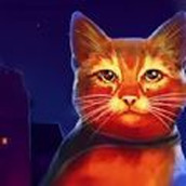 老鼠猫模拟器正式版