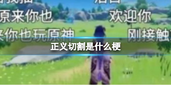 正义切割是什么梗-正义切割是什么意思