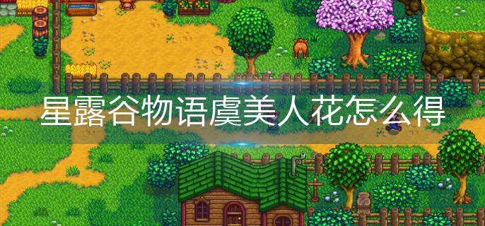 星露谷物语虞美人花怎么得
