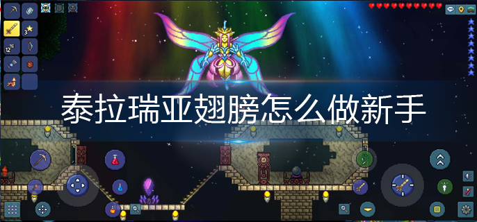 泰拉瑞亚翅膀怎么做新手