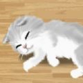 治愈的猫育成游戏手机版