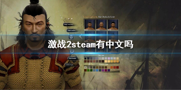 《激战2》steam有中文吗？游戏支持语言一览