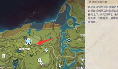 《原神》桓斯弥利底要种在哪里