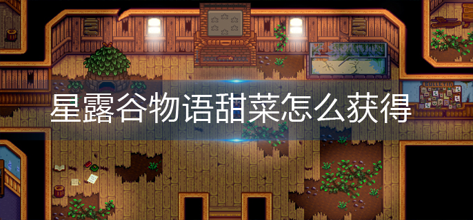 星露谷物语甜菜怎么获得