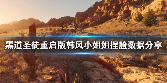 《黑道圣徒重启版》韩风小姐姐怎么捏？韩风小姐姐捏脸数据分享