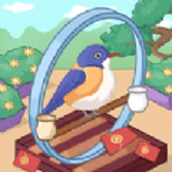 花鸟一条街下载最新版