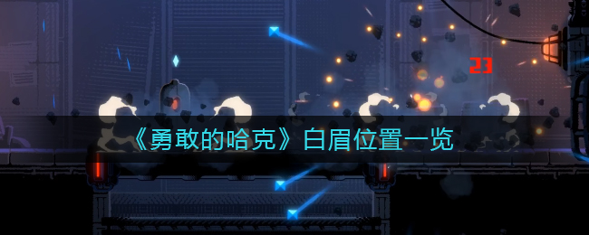《勇敢的哈克》白眉位置一览
