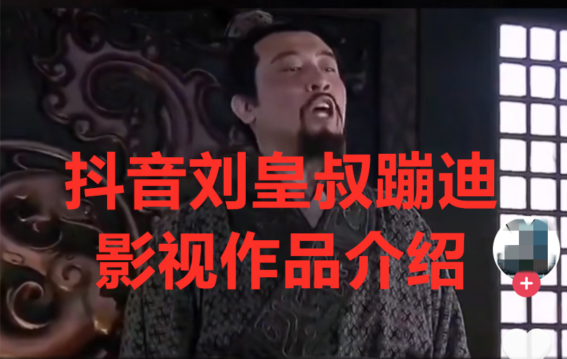 抖音刘皇叔蹦迪电影介绍