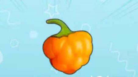 摩尔庄园橙色浆果菜谱