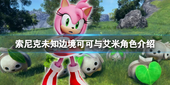 《索尼克未知边境》艾米是谁？可可与艾米角色介绍