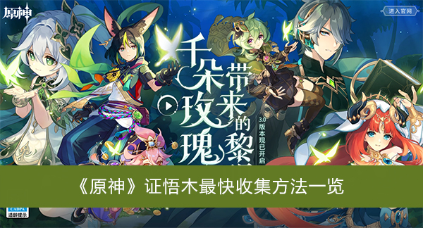 原神证悟木最快收集方法一览