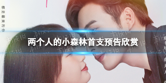 两个人的小森林什么时候播出-两个人的小森林首支预告