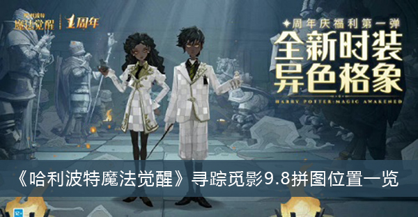 哈利波特魔法觉醒寻踪觅影9.8拼图位置一览
