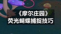 《摩尔庄园》荧光蝴蝶捕捉技巧