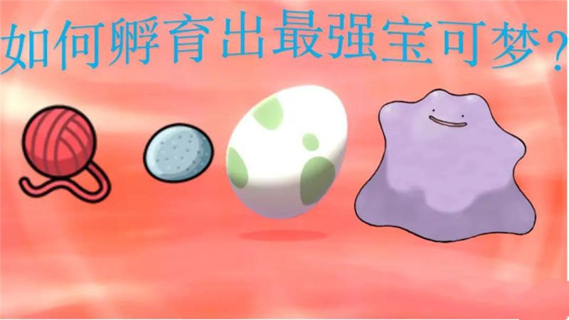 口袋妖怪剑盾孵蛋教程攻略分享