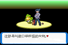 口袋妖怪决心一周目图文攻略分享