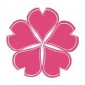 樱花动漫app官网版