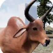 快乐犀牛模拟器