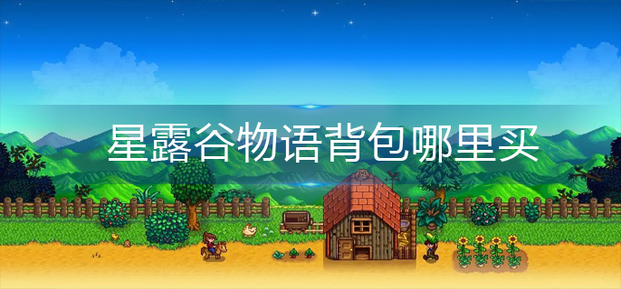 星露谷物语背包哪里买