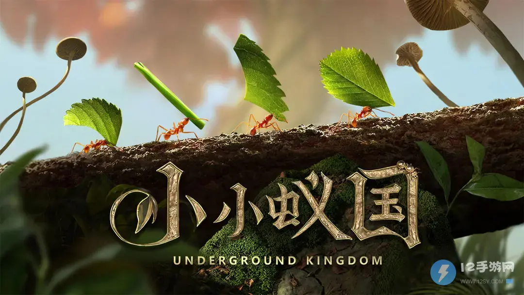 小小蚁国特化蚁的属性介绍