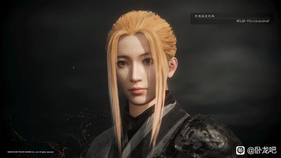 卧龙苍天陨落捏脸数据大全