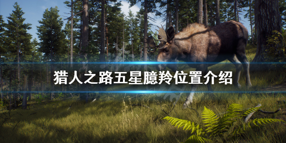 《猎人之路》臆羚在哪？五星臆羚位置介绍