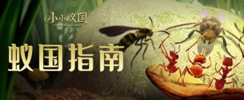 小小蚁国新手开局发展攻略